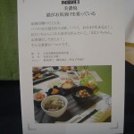 美濃焼―猫がお茶漬けを狙っている―説明 美濃焼―猫がお茶漬けを狙っている―説明